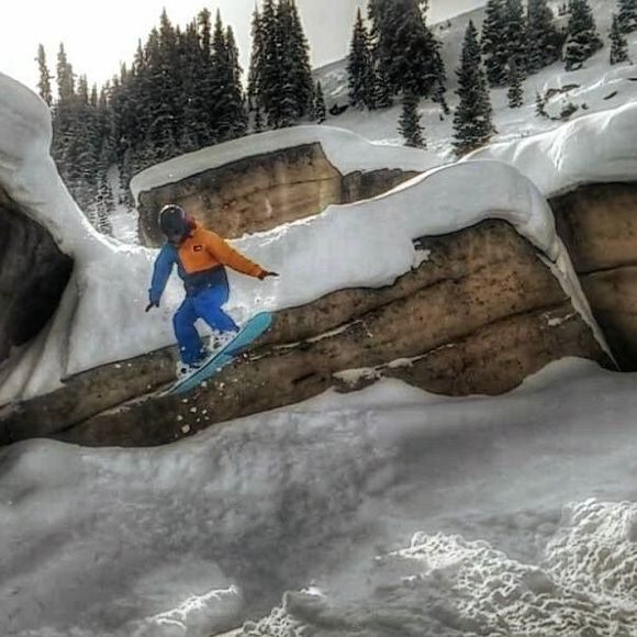 Meet your Posher, Tyler - Picture 1 of 1